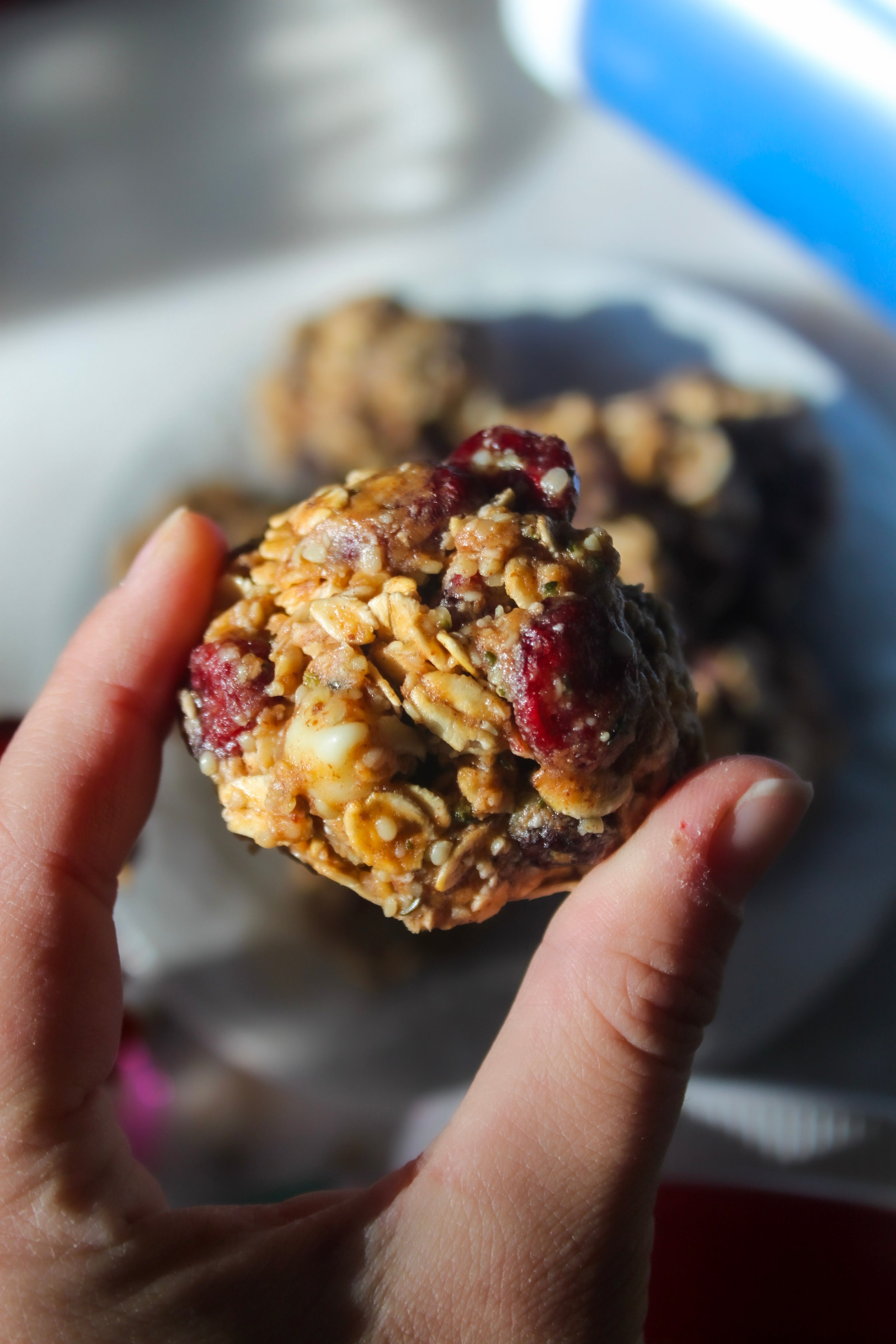 Fiber-ful Recipes: White Chocolate Cranberry Powerballs